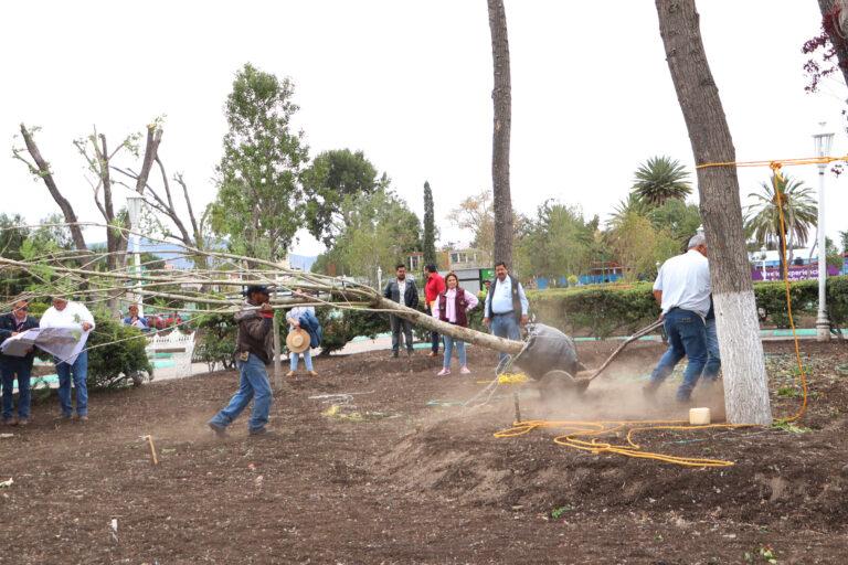 Reforestaron el jardín aledaño a la Plaza Juárez Reforestaron el jardín aledaño a la Plaza Juárez