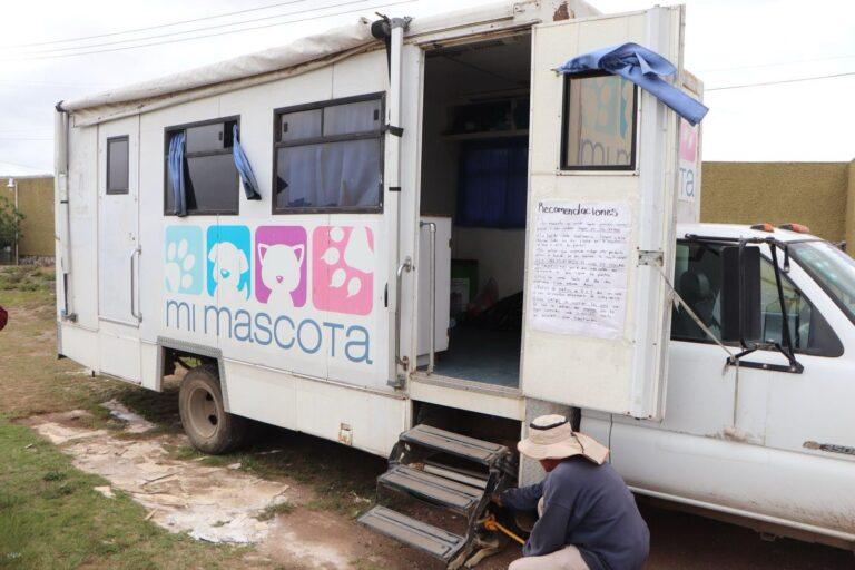 UPT realizó campaña de esterilización para perros y gatos