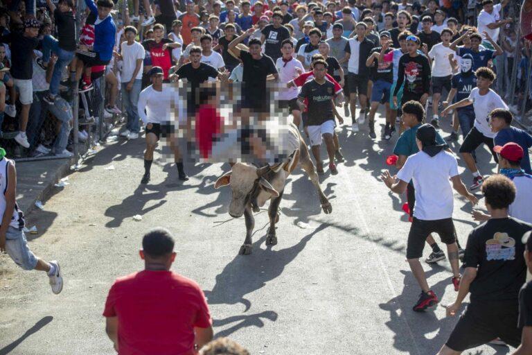 Sueltan toros en las calles de Managua para despedir la fiesta popular más grande de Nicaragua