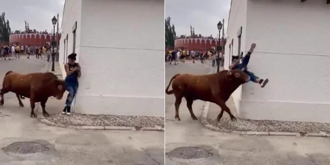 Mujer recibe cornada de toro mientras ella vía su celular Mujer recibe cornada de toro mientras ella vía su celular