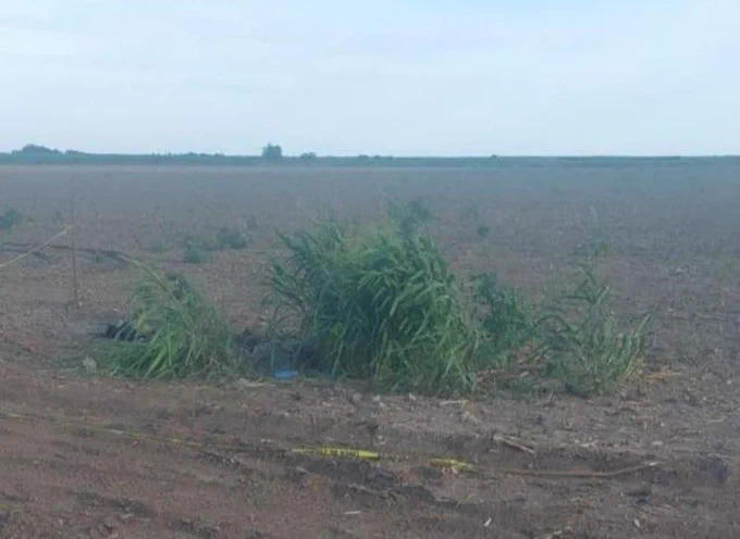Localizan los cuerpos de 2 ancianos desparecidos en Culiacán Localizan los cuerpos de 2 ancianos desparecidos en Culiacán