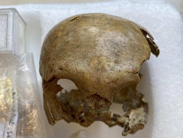 El primer neandertal, al que nadie hizo caso El primer neandertal, al que nadie hizo caso