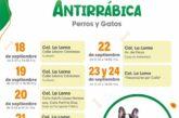 Invita Pachuca a campaña de vacunación antirrábica gratuita