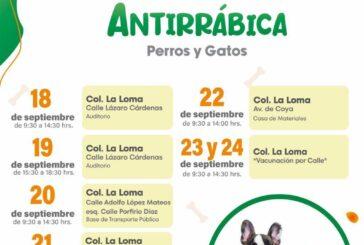 Invita Pachuca a campaña de vacunación antirrábica gratuita