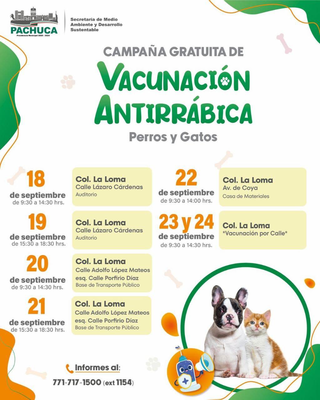 Invita Pachuca a campaña de vacunación antirrábica gratuita