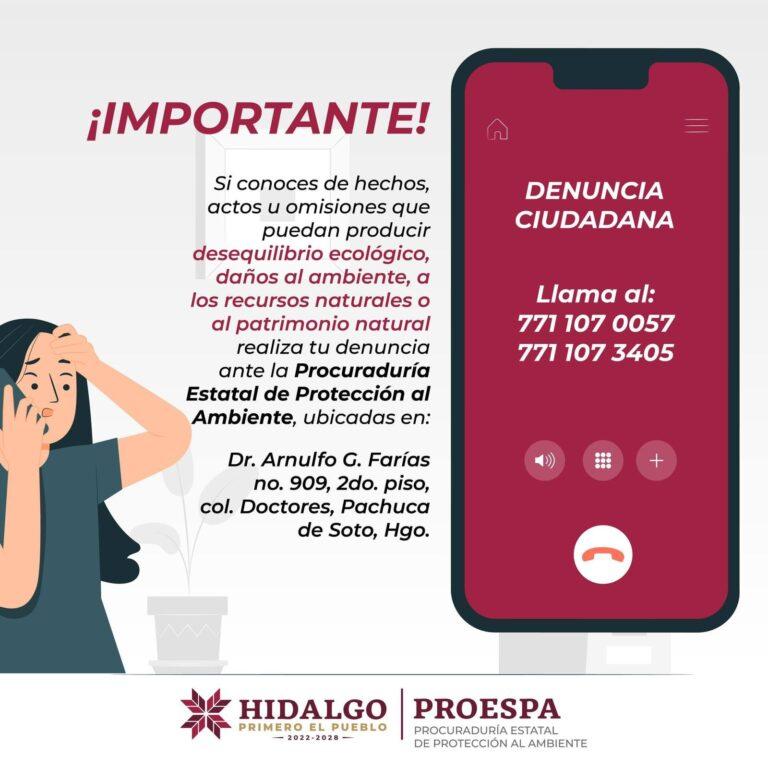 Piden denunciar acciones que amenazan entorno natural Piden denunciar acciones que amenazan entorno natural