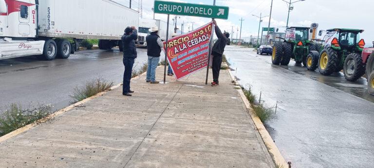 Fijan precios para el pago de la cosecha de cebada 2023 Fijan precios para el pago de la cosecha de cebada 2023