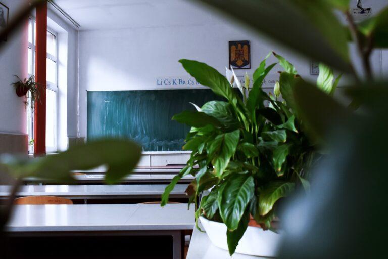 Abrirán cédula de solicitud para la beca Benito Juárez para educación básica Abrirán cédula de solicitud para la beca Benito Juárez para educación básica