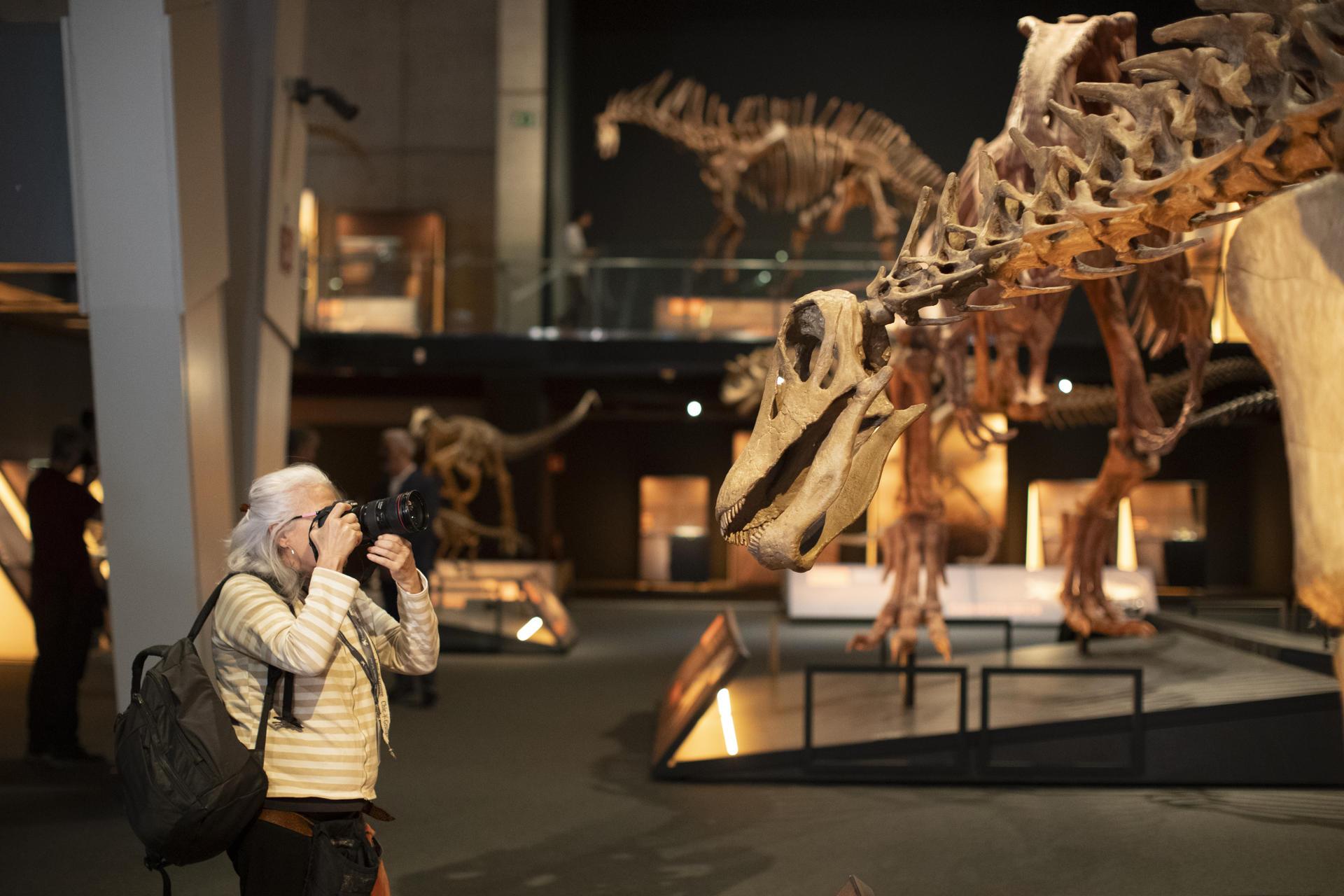 Museo de Ciencia de Barcelona exhibe una réplica del gigantesco dinosaurio de la Patagonia