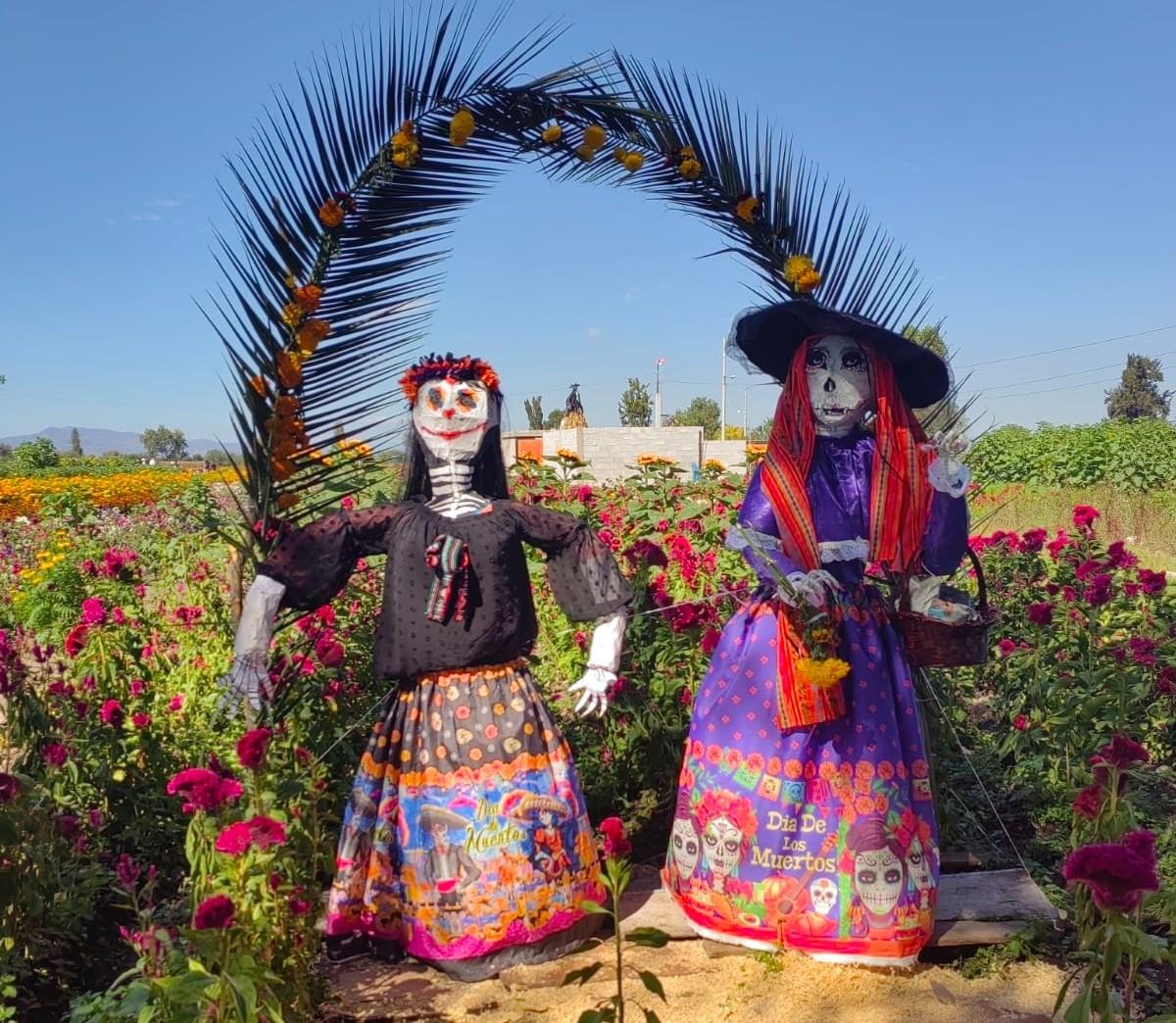 Continúa la venta de flor en los campos de Doxey