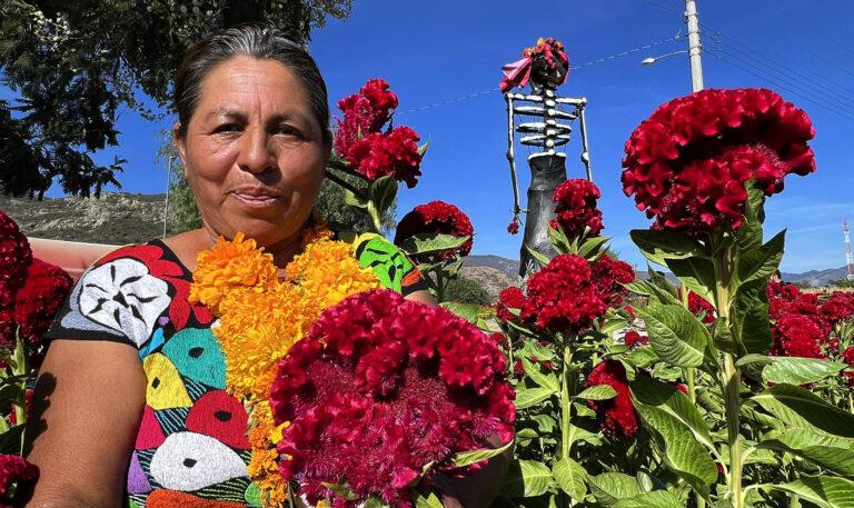 Sembradores de México esperan que el Día de Muertos les ayude a sobrevivir la sequía