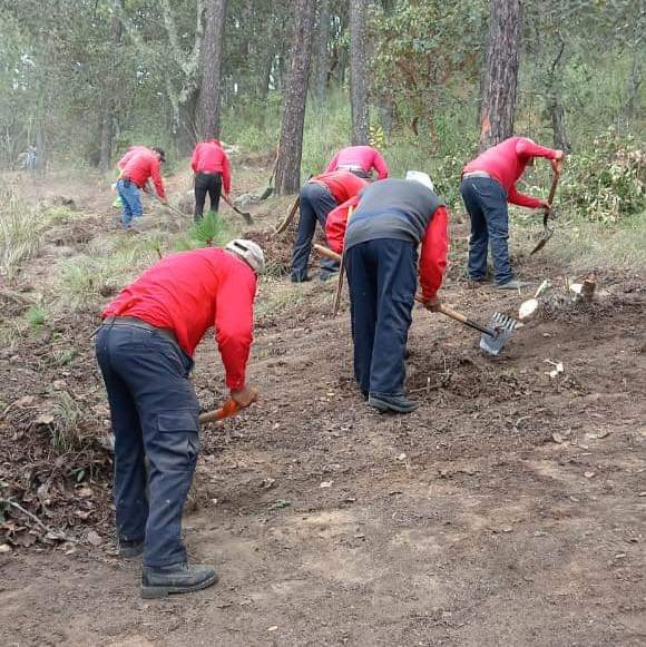 SEMARNATH ha realizado más de 50 kilómetros de brechas cortafuegos SEMARNATH ha realizado más de 50 kilómetros de brechas cortafuegos