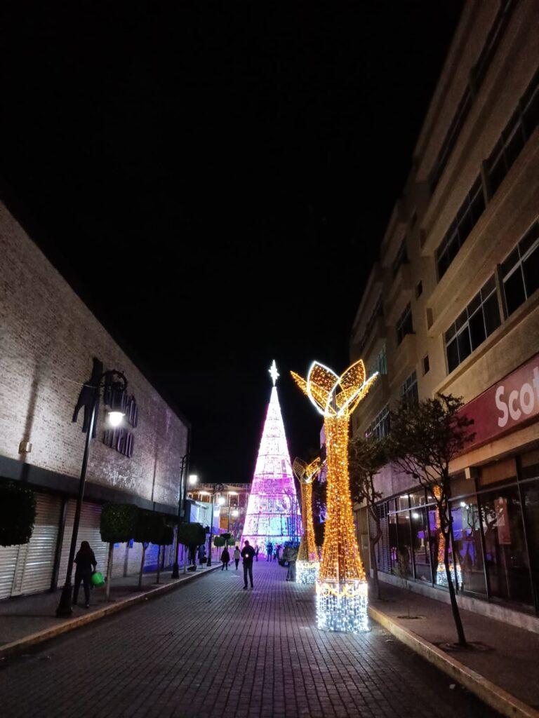 Mañana tradicional encendido del árbol navideño