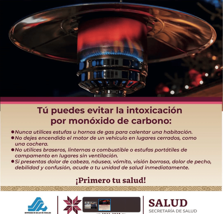 Importante evitar intoxicaciones ante temperaturas gélidas