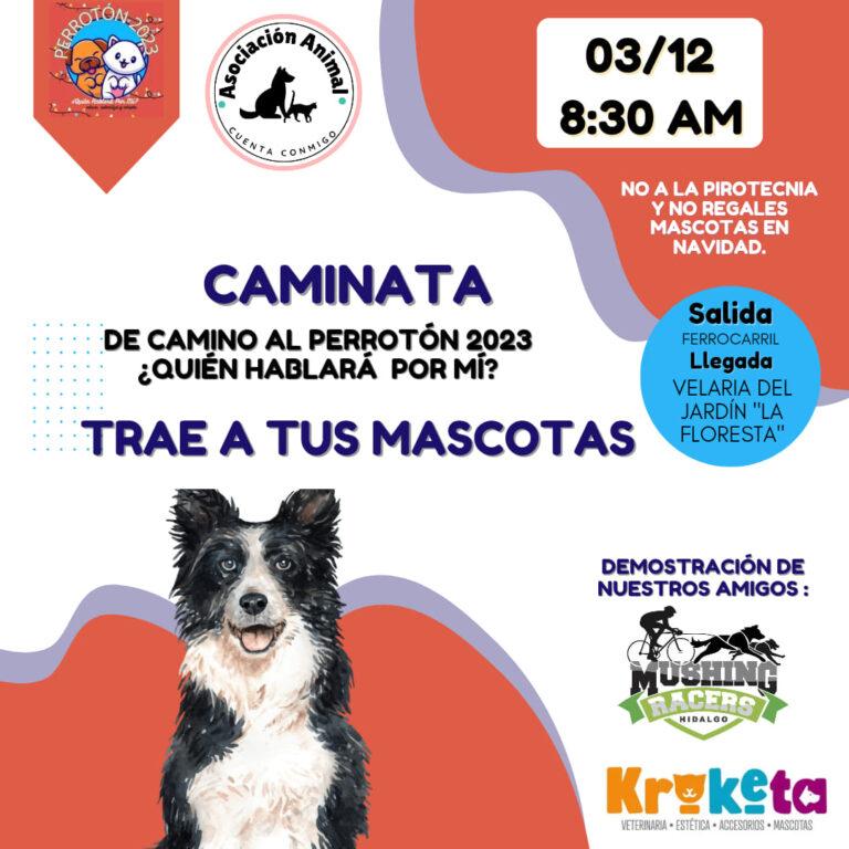 ESTE DOMINGO SÉPTIMA EDICIÓN DEL PERROTÓN ESTE DOMINGO SÉPTIMA EDICIÓN DEL PERROTÓN