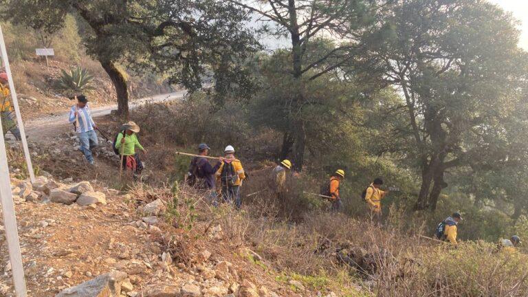 Acciones para combatir incendio forestal en Los Mármoles