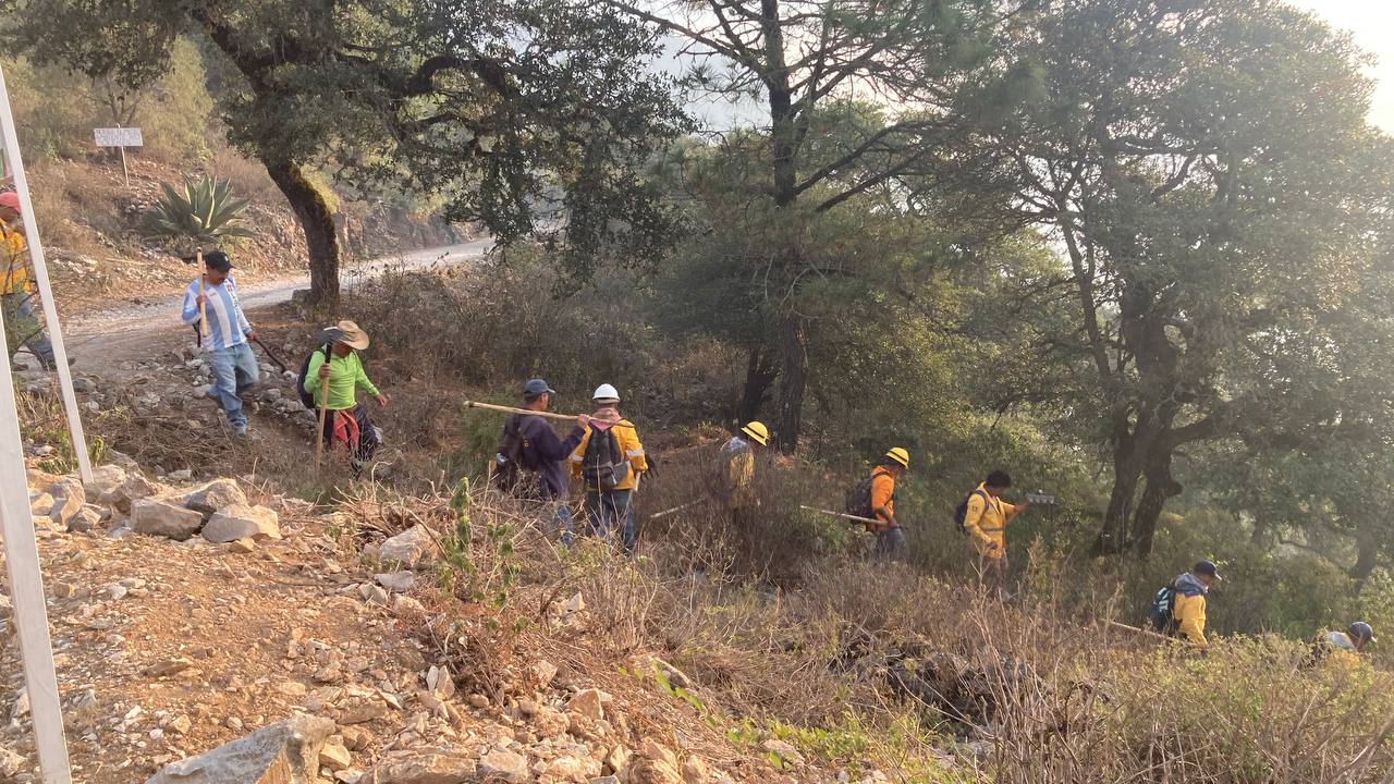 Acciones para combatir incendio forestal en Los Mármoles