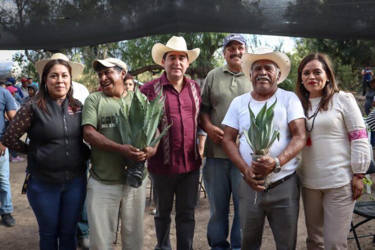 Promueve Saderh producción de maguey pulquero en Hidalgo Promueve Saderh producción de maguey pulquero en Hidalgo