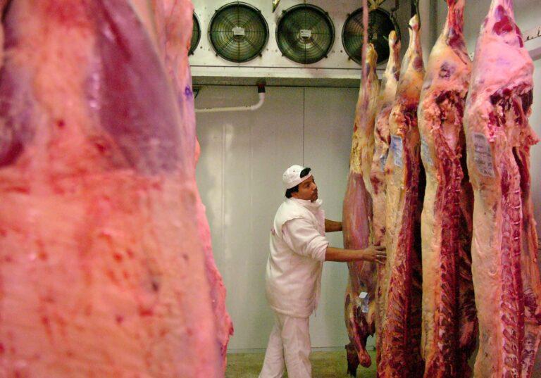 Argentina vuelva a exportar carne de vacuno sin restricciones Argentina vuelva a exportar carne de vacuno sin restricciones