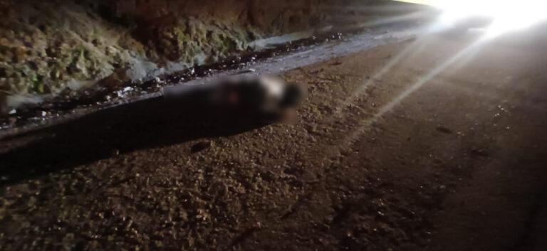 Un desgajamiento de tierra, provocó la caída de un hombre que pierde la vida Un desgajamiento de tierra, provocó la caída de un hombre que pierde la vida