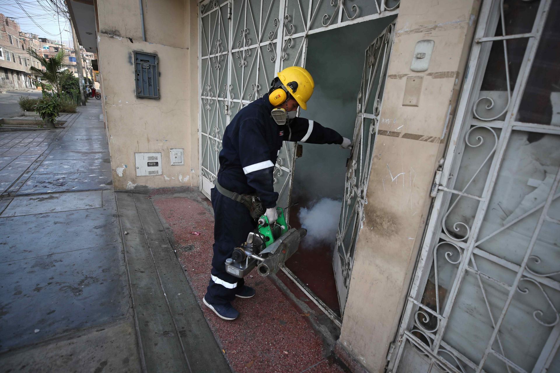 Perú declarará en emergencia cuatro regiones por aumento de casos de dengue