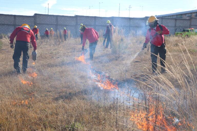 Trazan líneas negras para evitar incendios forestales