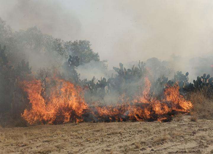 Incendio forestal consume más de 40 hectáreas del cerro de San Isidro en Tlanalapa