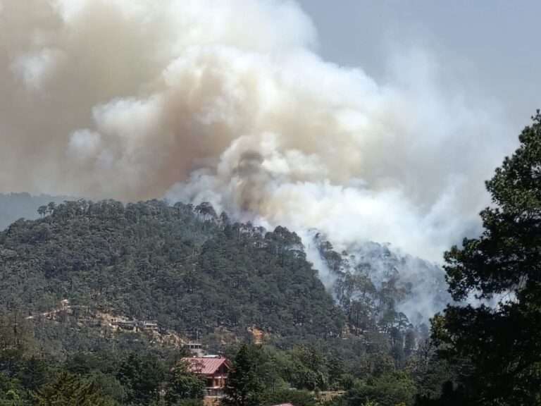 Controlan autoridades intenso incendio forestal en Mineral del Chico