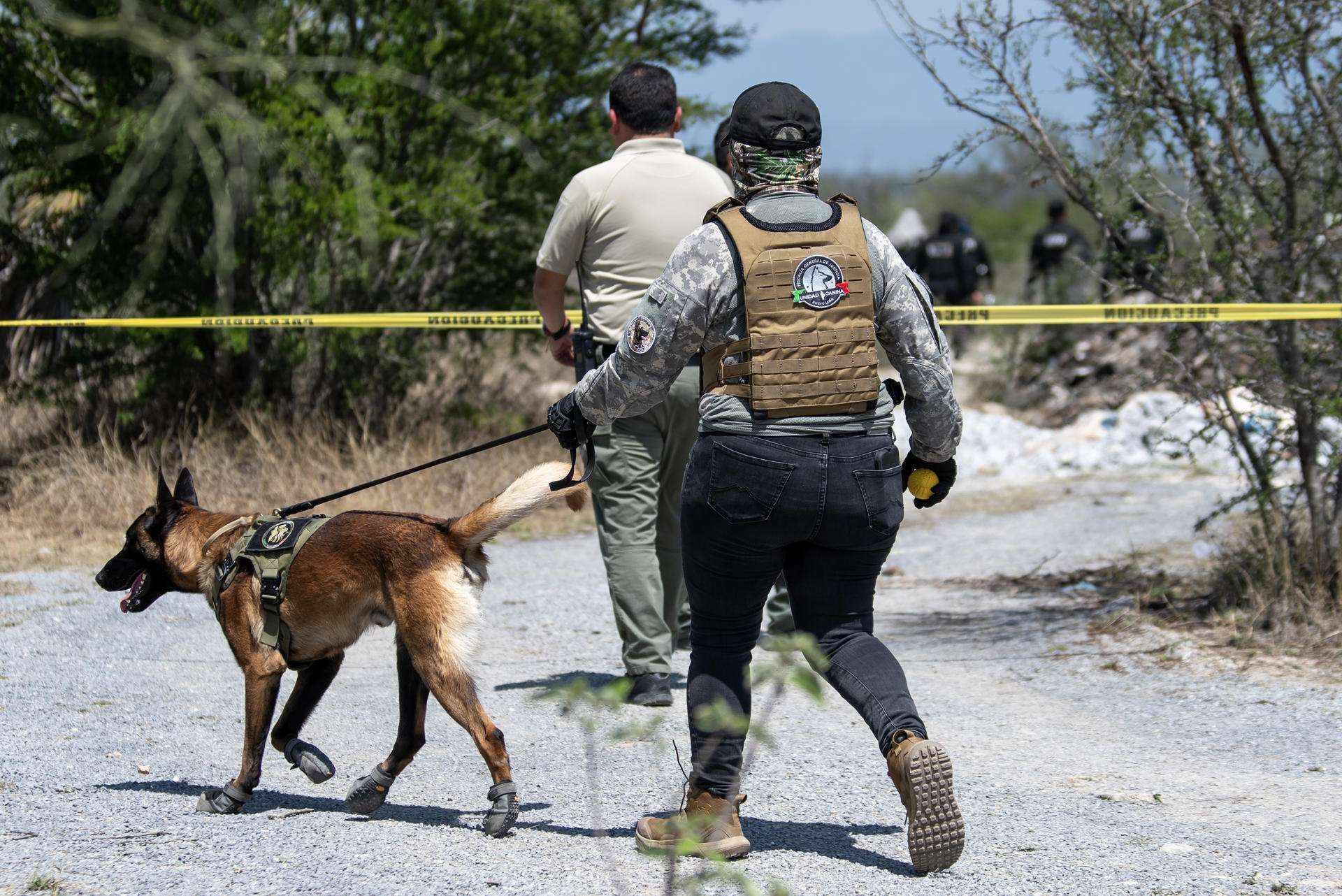 Hallan al menos cinco cuerpos calcinados en cementerio