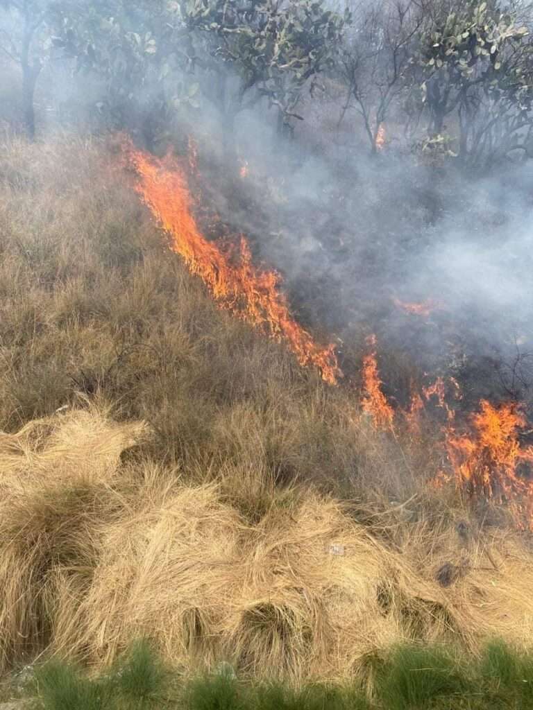 Los incendios colapsan tres municipios de Hidalgo