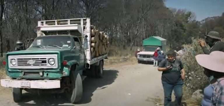 La policía mexiquense captura al líder de un grupo delictivo, dedicado a tala de madera