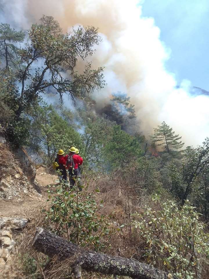 Un total de 24 incendios forestales registrados