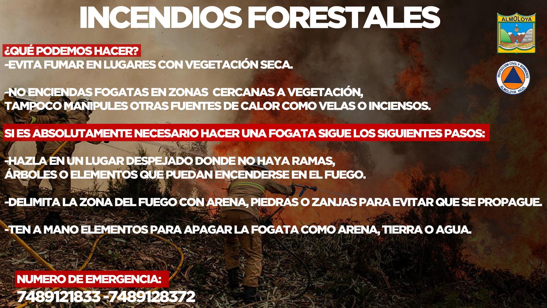 Previene PC sobre incendios forestales