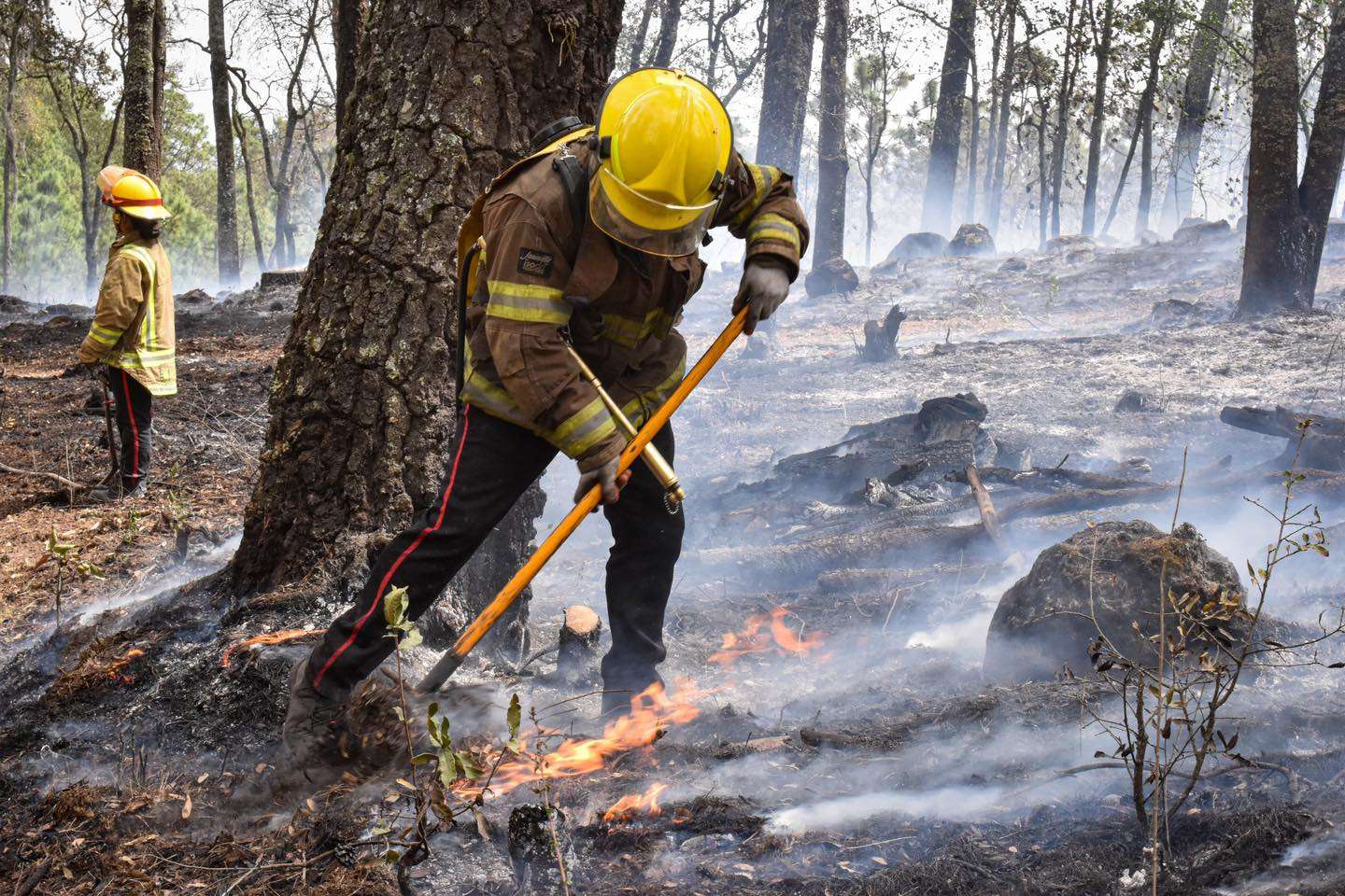 Consumió incendio cerca de 132 hectáreas en Los Romeros