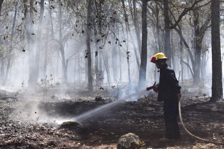 Reciben bomberos capacitación en control de incendios