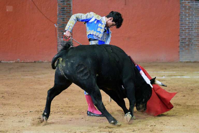 Novillero Osornio logra dos orejas en cierre de serial de reapertura de Plaza México