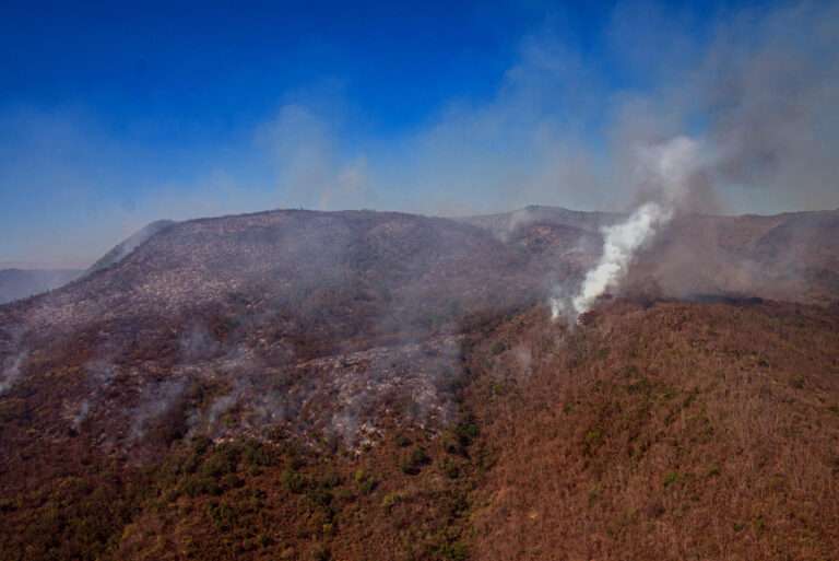 México vive devastadora ola de incendios alimentada por la aguda sequía en el país