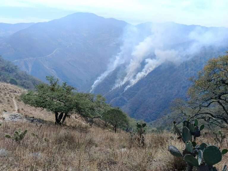 Incendio forestal en Nicolás Flores no se ha apagado, cumple más de una semana