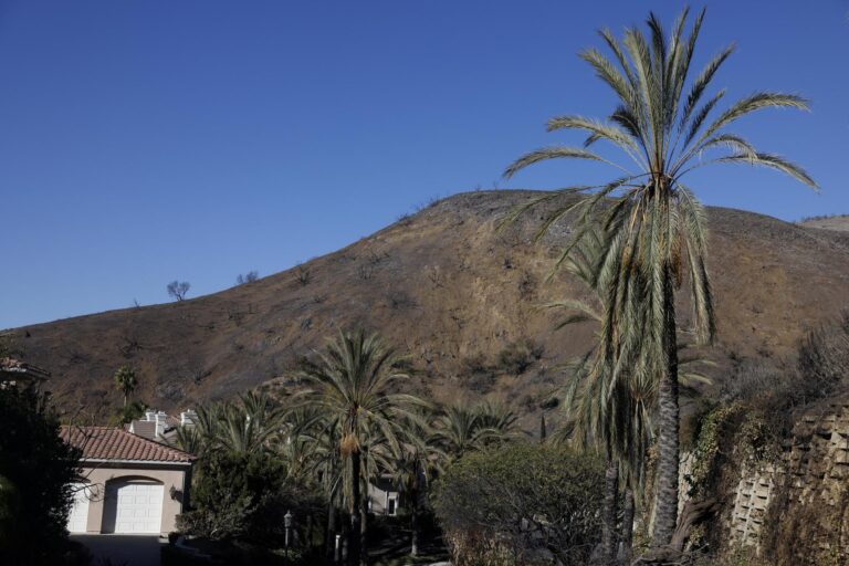 Evacúan más de 100 viviendas en acaudalada zona de Los Ángeles