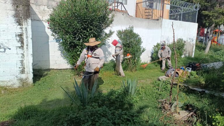 Denuncia SUTSMP presunto abuso de poder en la presidencia municipal 