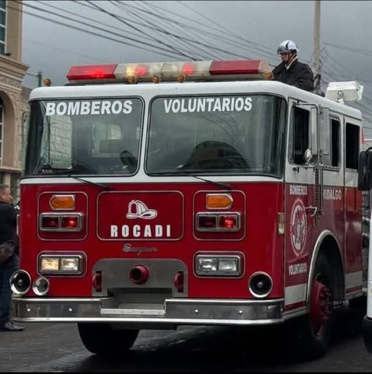Rescatan bomberos voluntarios a perro abandonado 