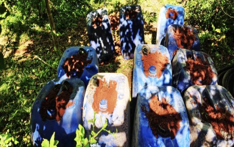 Destruyen más de 600 kilogramos de droga