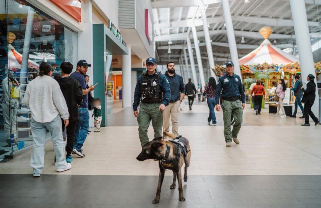 Fortalecen seguridad con binomios K9 en plazas comerciales