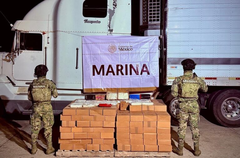 Aseguran más de 600 kilogramos de droga en Mazatlán 