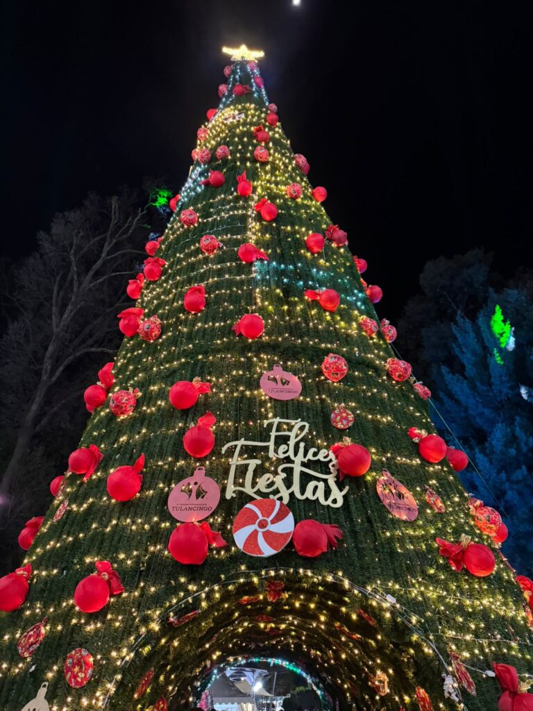 Invitan al Encendido del Árbol Navideño