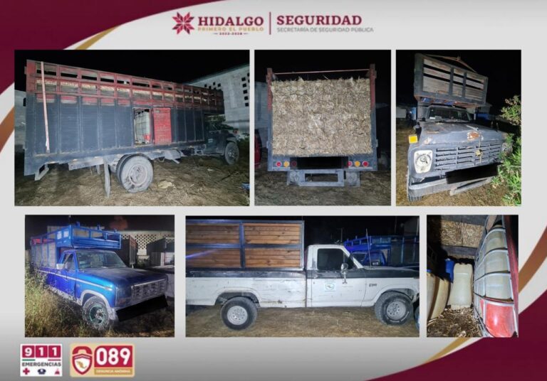 Golpe al crimen en Tula: Fuerzas de seguridad desmantelan centro de almacenamiento de hidrocarburo