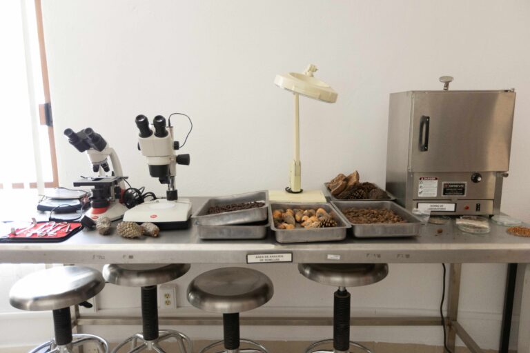 Impulsan banco de germoplasma