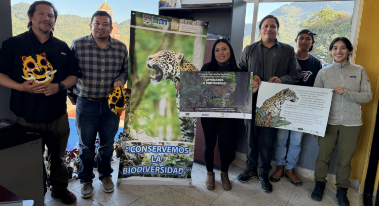 La Misión, primer municipio amigable con el Jaguar en México