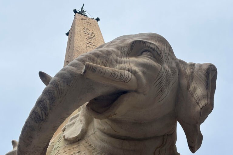 Aparece roto uno de los colmillos del elefante de Bernini en Roma