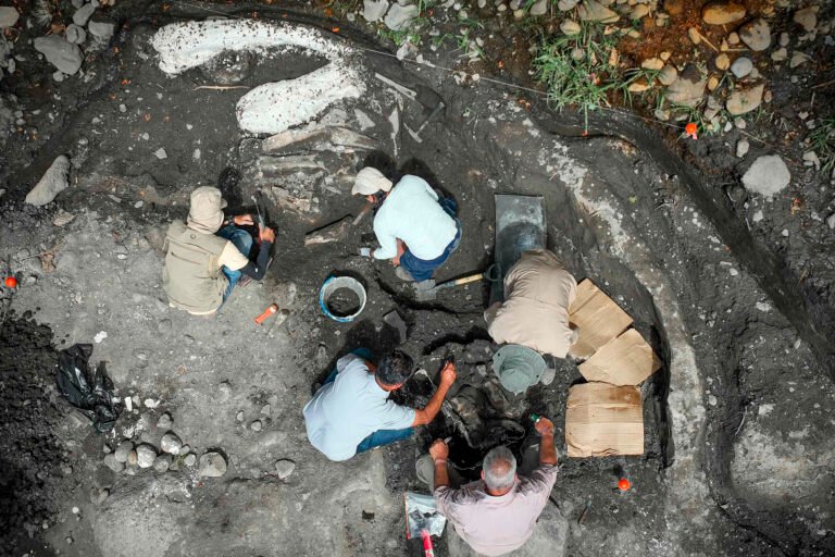 Hallan fósiles de perezoso gigante de al menos 10.000 años 